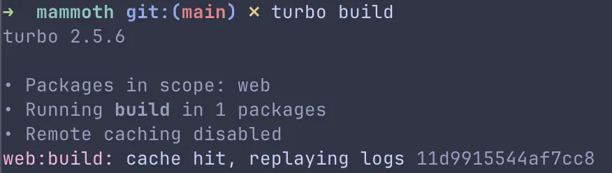 Terminal output showing Turborepo cache hit with ‘HIT’ status for the web:build task